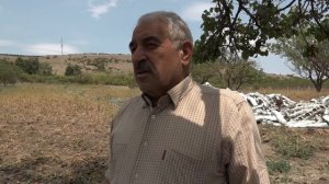 Райондин арендаторрин сифте картуфрин бегьерар.