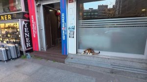 Стамбул Нишанташи прогулка по модным улицам к известному торговому центру Джевa бутики и бренды ✨