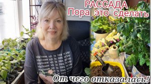 ВСЕ ПОШЛО НЕ ПО ПЛАНУ Рассада - затормозит в росте,если это не сделать.БОЛЬШЕ НЕ ПОСАЖУ?