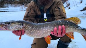 СУМАСШЕДШАЯ РЫБАЛКА!!! ОГРОМНЫЕ ЩУКИ КИШАТ В МАЛЕНЬКОЙ РЕЧКЕ. Удачная рыбалка в марте.
