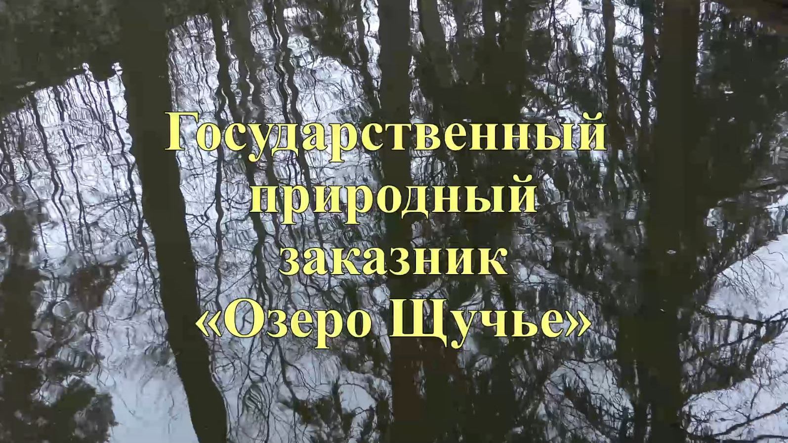 Государственный природный заказник «Озеро Щучье»