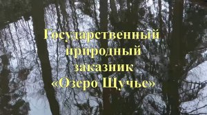 Государственный природный заказник «Озеро Щучье»