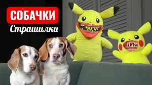 Собачки СТРАШИЛКИ.  В Пикачу вселился демон. Страшилки.