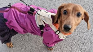 идем в парк