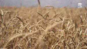 Глава КЧР Р. Темрезов: В КЧР обеспечен постоянный контроль за своевременной оплатой энергоресурсов