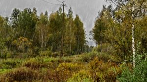 Непогодное видео