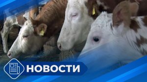 Новости 19.00 от 24.03.26