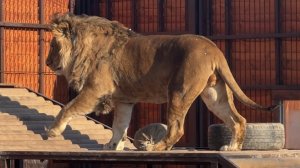 Ой,ну и все!