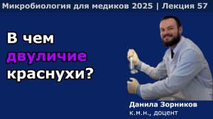 Вирус краснухи