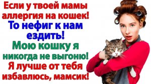 Жизненные Истории|Если у свекрови аллергия|Истории из жизни|Реальные истории|Аудиорассказы
