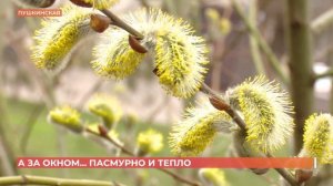 А за окном. 24 марта 2026