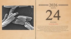 24.03.2026 Народный календарь