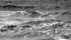 Гордый Альбатрос