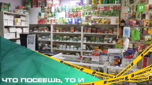 Что посеешь, то и … Какие семена выбирают челябинские садоводы?