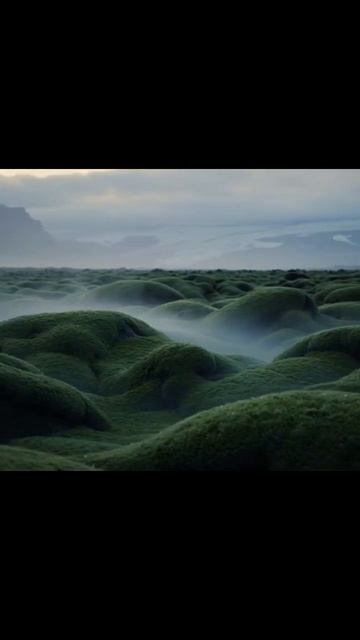 #залипательно #видео #креатив #увлекательное #занимательное