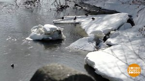 Снег тает... А что с питьевой водой? Доброе утро. Фрагмент выпуска от 24.03.2026