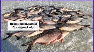Весенняя рыбалка. Последний лед.