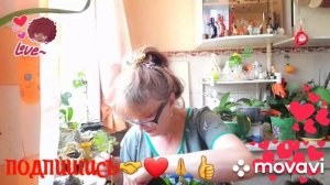 🖋️🚀ПРИШЛА С СЕРЬЁЗНЫМ ДЕЛОМ,А УШЛА С ЦВЕТАМИ💃🔥МОИ БУДНИ 🖋️🚀