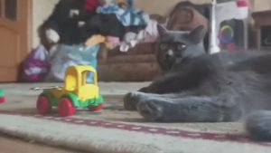 Тёмыч и его друзья 4 сезон 2 серия Рутуб