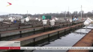 Ӕрыдоны балергӕсаджы хӕдзарады рӕзын кӕнынц 3 милуан лӕппынгӕсаджы