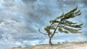 ФИИОФЕН - Семь Ветров