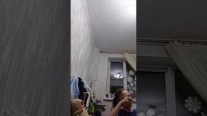 Капибара мандаринка хочет показать свой дом