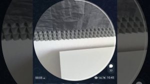 теперь Хаги и Кисси в отпуске:) скоро в описании появится ссылка на ТГ канал Князича:)