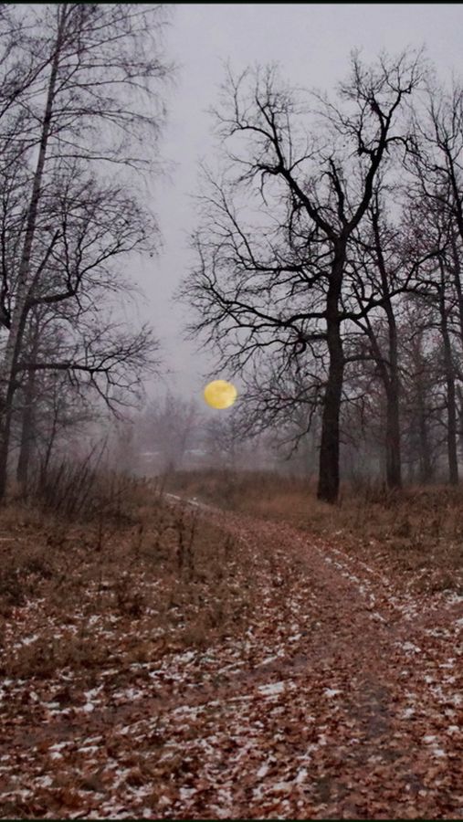 Утро хмурое