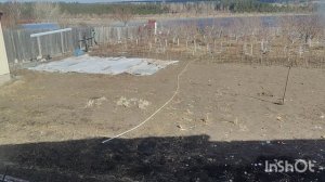 О заблуждениях некоторых блогеров. Алтайская  ,,Ванга,,