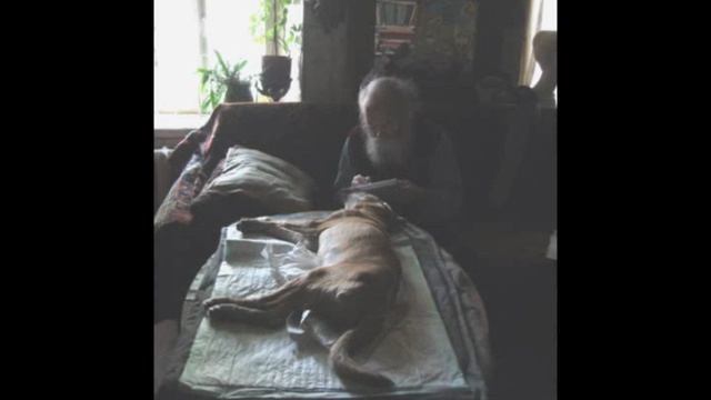 2008-05-19-БЕДНЫЙ РЕКС