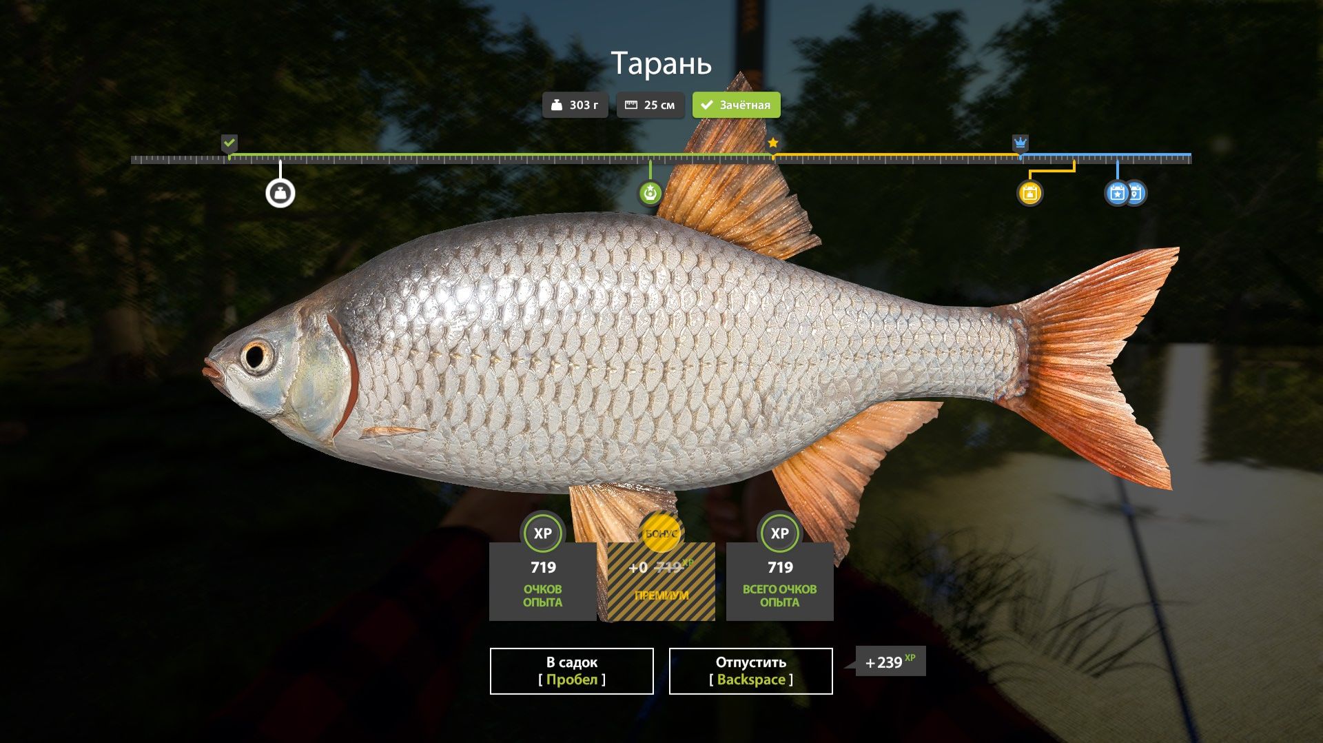 Играем в Russian Fishing 4 ловим тарань,плотву и другую рыбку на р.Донец. (Смотрим стримы)