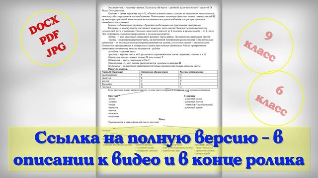 Лекция "Строение растений"