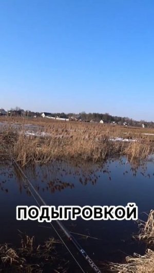 Проводка Апстрим Микроджиг