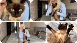 Поездка на море….и в Санкт Петербург…