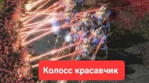 колосс красавчик