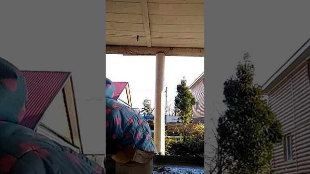 мастерица.mp4