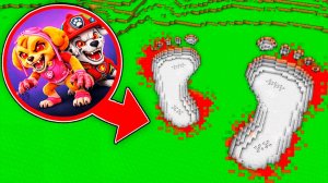 ЗАЧЕМ СКАЙ и МАРШАЛ EXE ГИГАНТ ОСТАВИЛИ ЭТИ СЛЕДЫ ОКОЛО ДОМА ЩЕНЯЧИЙ ПАТРУЛЬ В МАЙНКРАФТ МУЛЬТИК