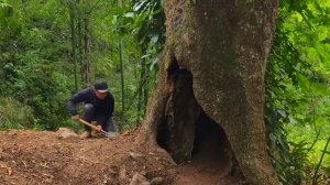 Я нашел большое старое дерево и построил внутри него тайный дом. Бушкрафт
