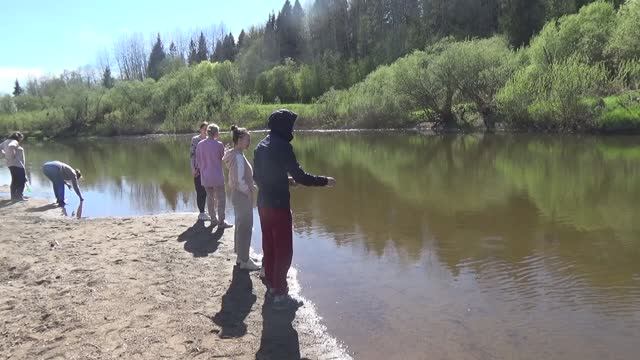 Сосновка,пляж. Киноклуб.2024