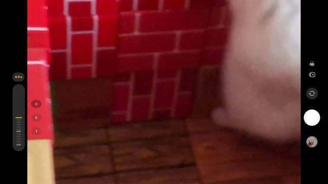 Screen_Recording_20260324_140436_Camera