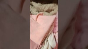 что нужгюна реборну на 1 времч