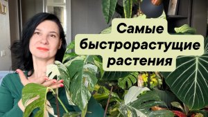 Самые быстрорастущие и медленные растения в своем роде