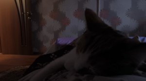 Любашины будни,сегодня поговорим в постели 😄...