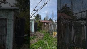 Продажа. Садовый дом с земельным участком. Борисова грива.