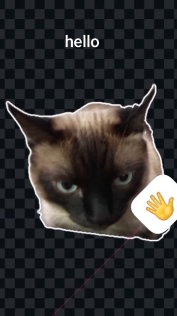 кот Филипп передаёт вам привет!