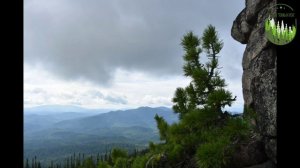 легенды из сибирской тайги...