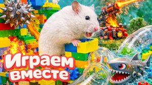 ХОМЯК ВЫБИРАЕТСЯ ИЗ СЕКРЕТНОЙ ХОМЯЧЕЙ ТЮРЬМЫ ! Играем ВМЕСТЕ 🚗 Помогаем выбраться из лабиринта 2