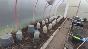 Посадили картошку 🥔Подкормила чеснок🧄Все по чертежу чтобы не было ...🍅На десерт вафли🥨