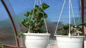 Что с погодой!?