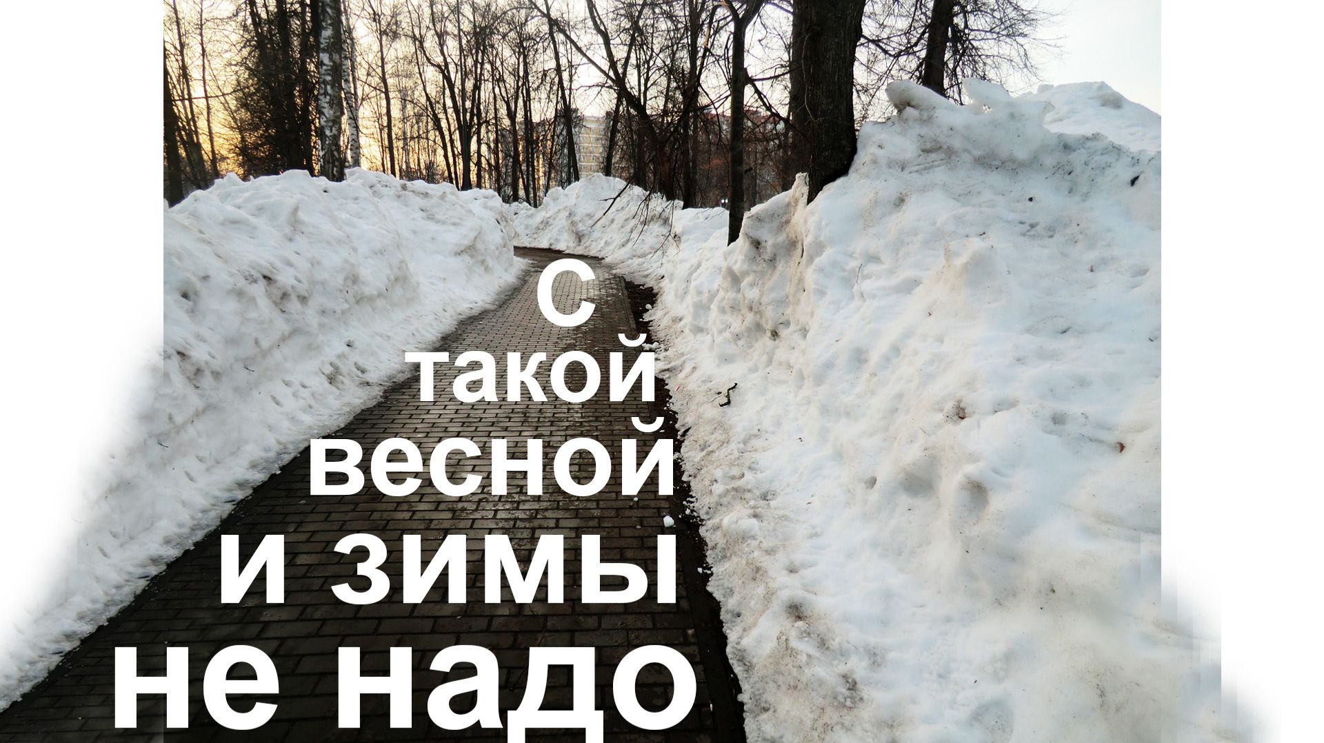 С такой весной и зимы не надо …  17.03.2026